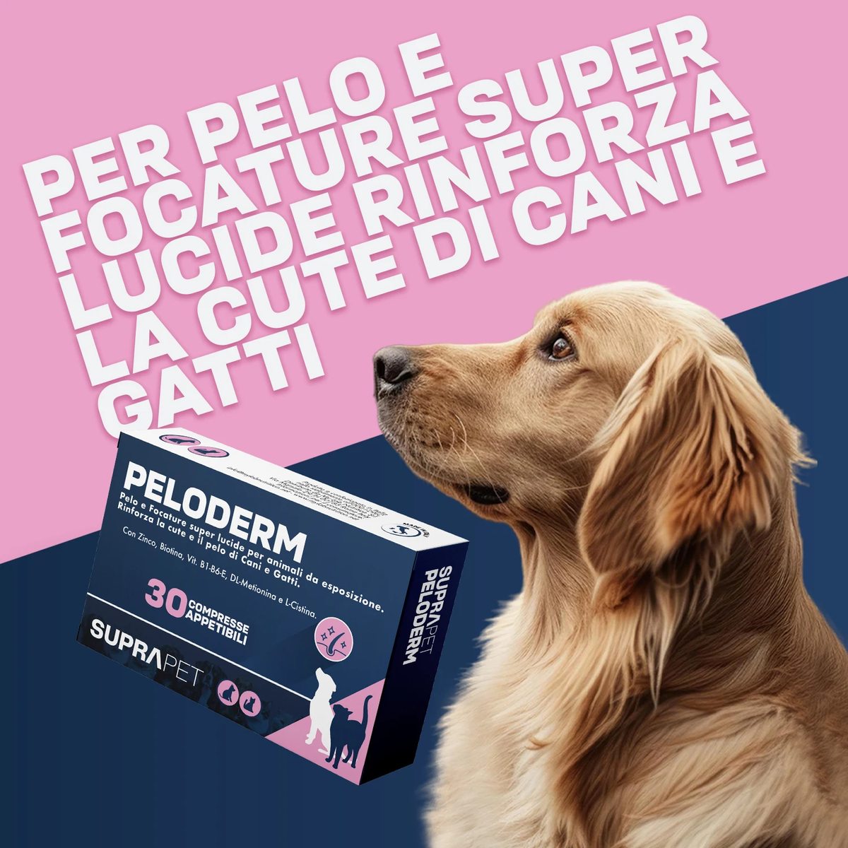 Biotin Coat Supplement - image 3