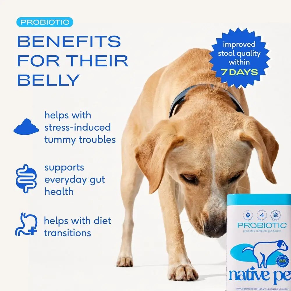 Bone Broth Powder - image 2