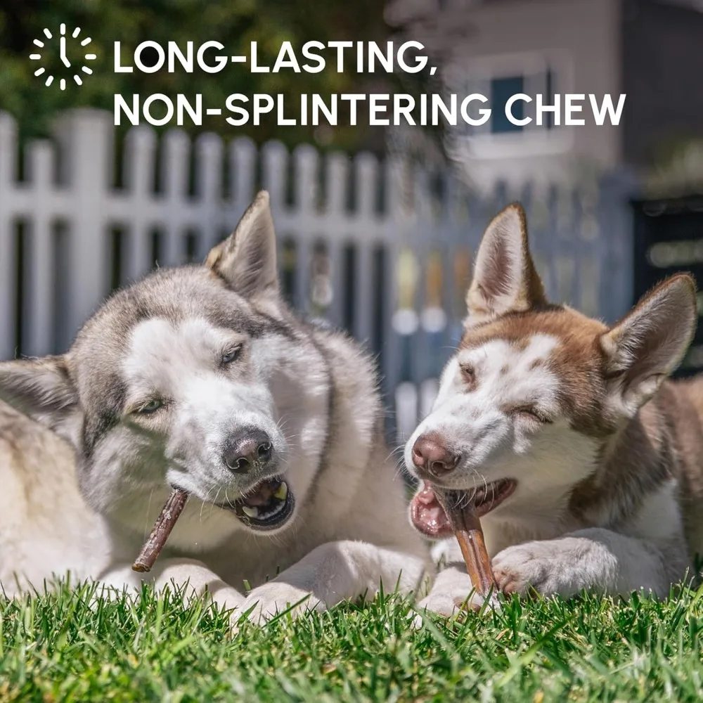 Bully Stick Chews - image 4