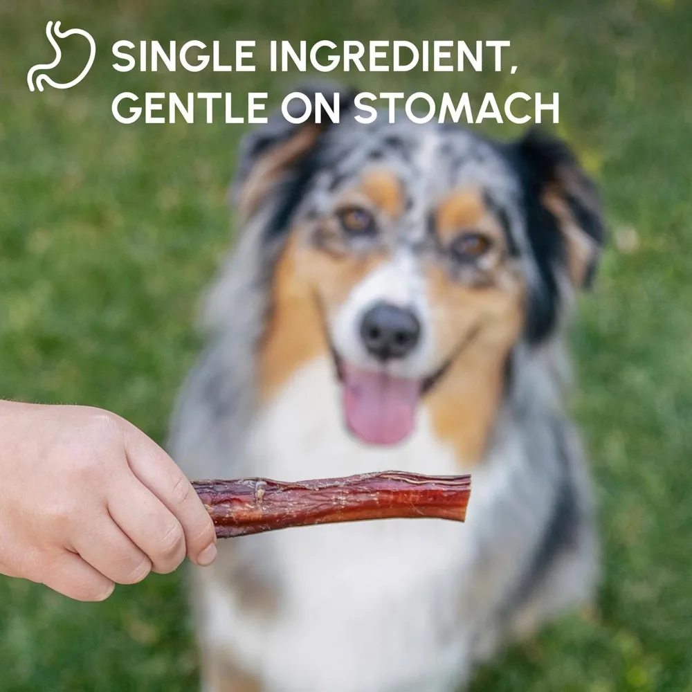 Bully Stick Chews - image 5