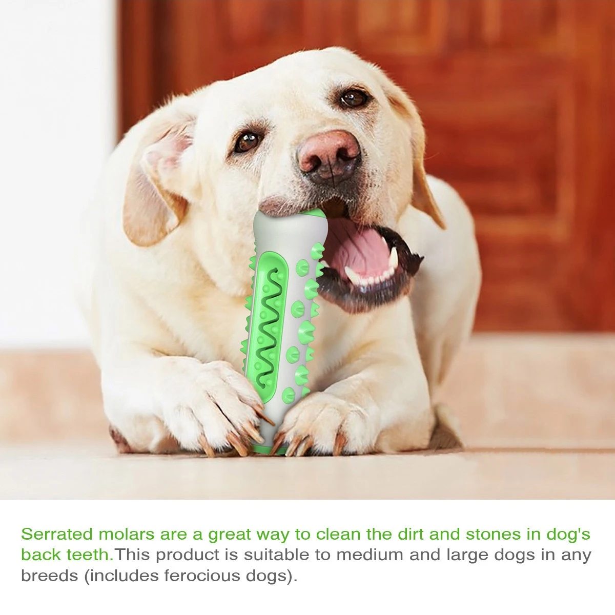 Dental Chew Sticks - image 3