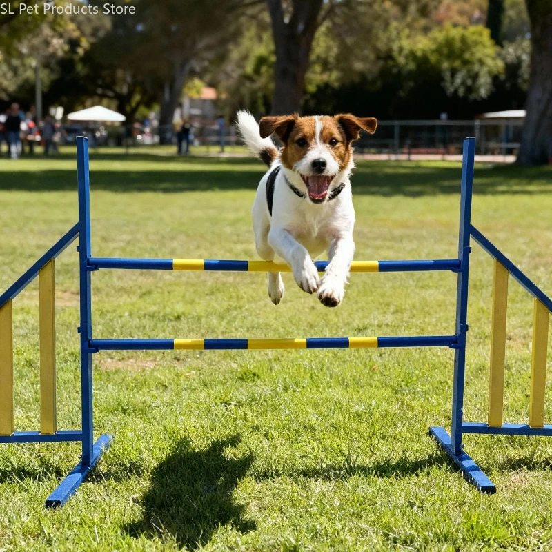 Dog Agility Jump Set - image 2