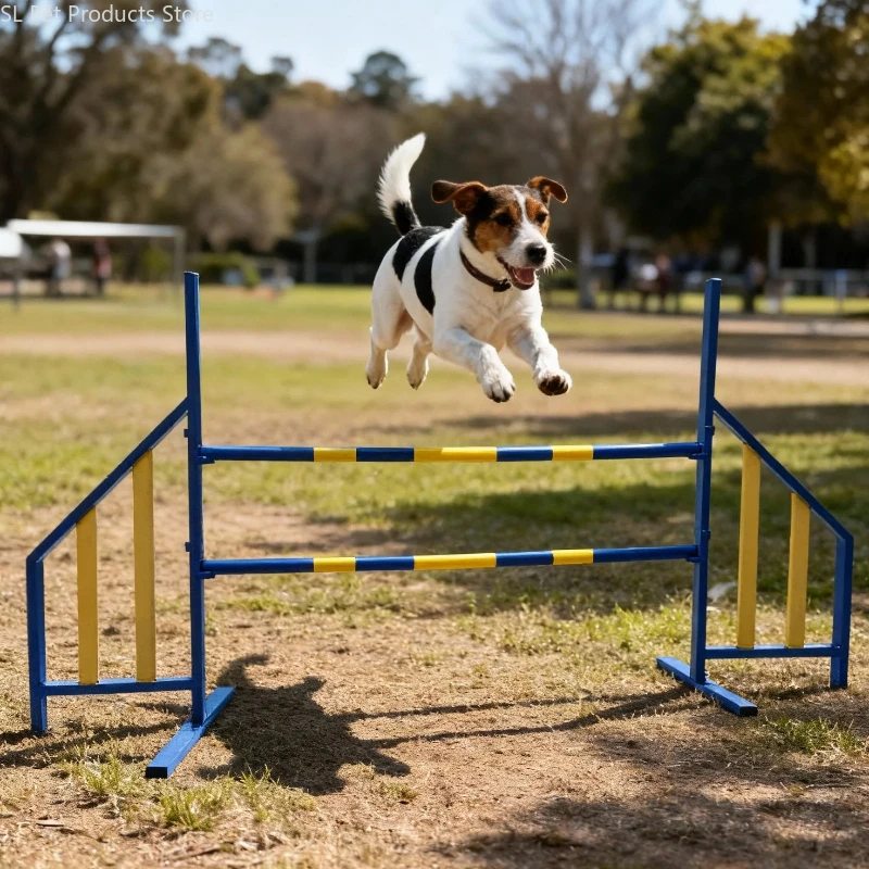 Dog Agility Jump Set - image 3
