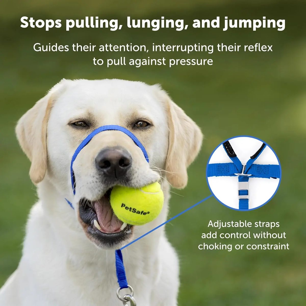 Gentle Leader Head Collar - image 2
