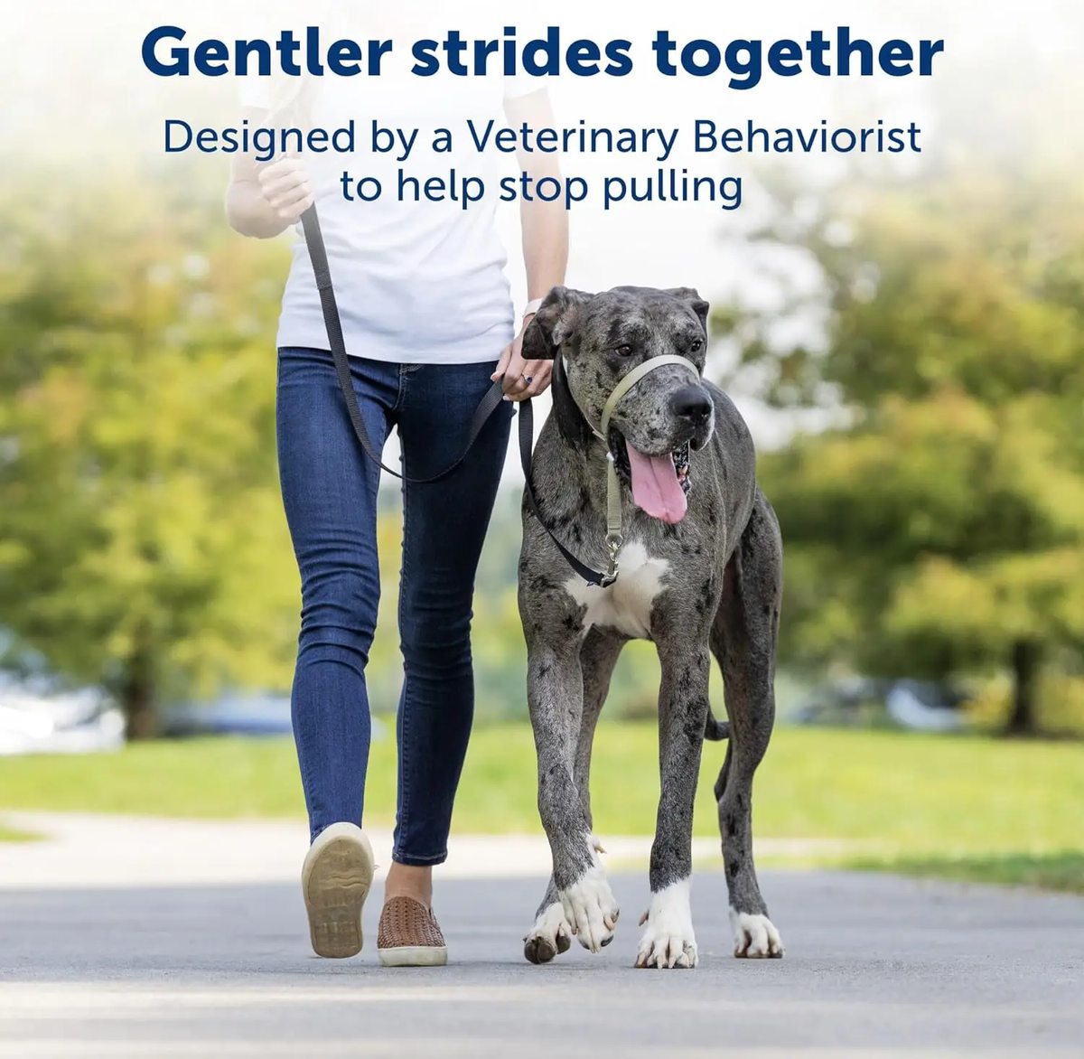 Gentle Leader Head Collar - image 3