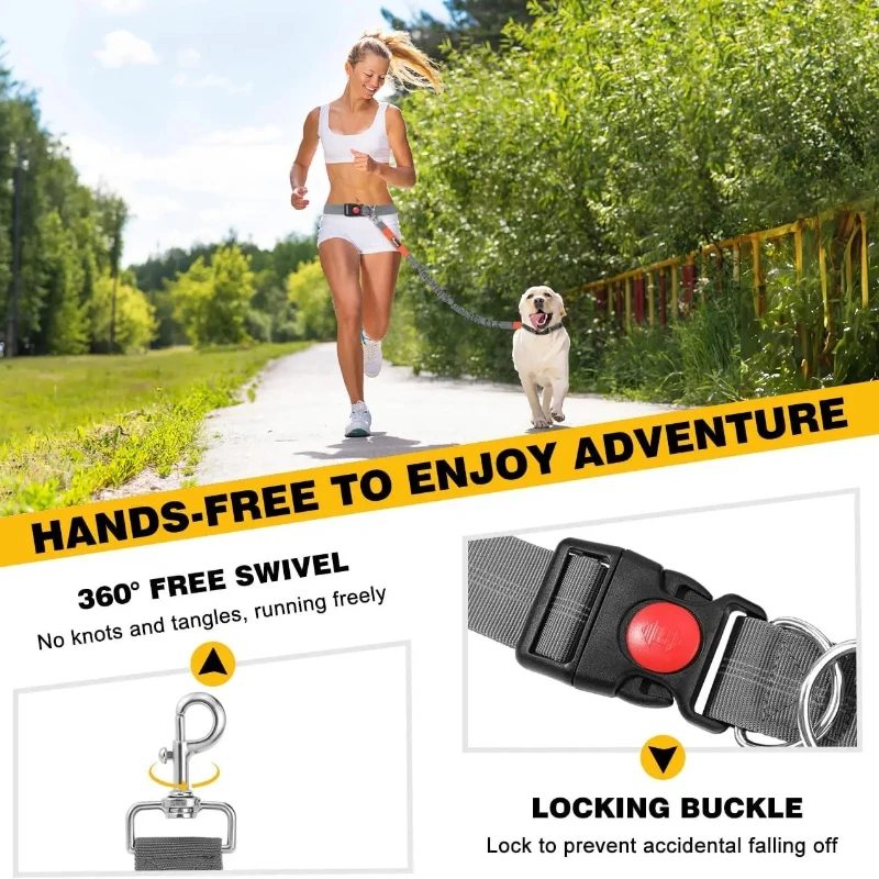 Hands-Free Running Leash - image 4