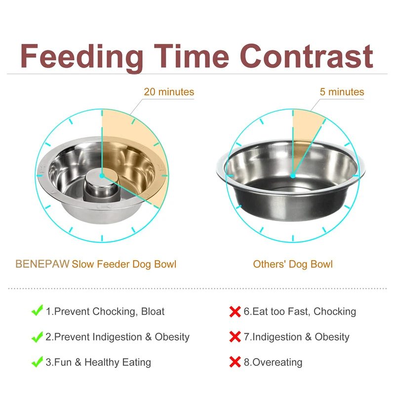 Slow Feeder Bowl - image 3