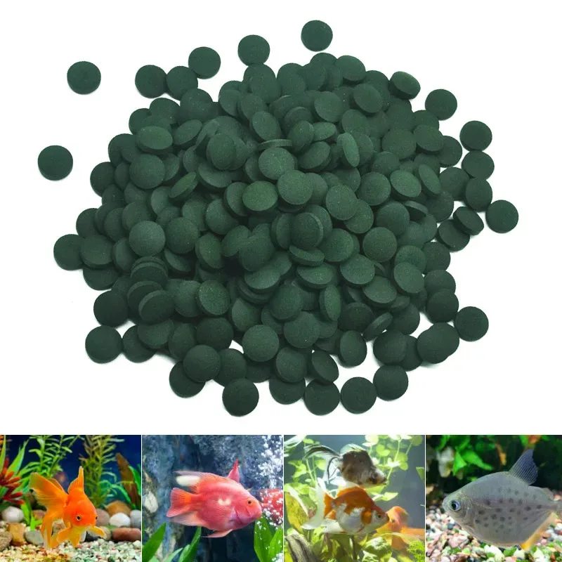 Spirulina Supplement - image 2