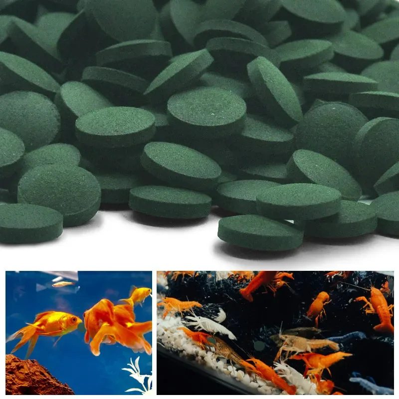 Spirulina Supplement - image 5