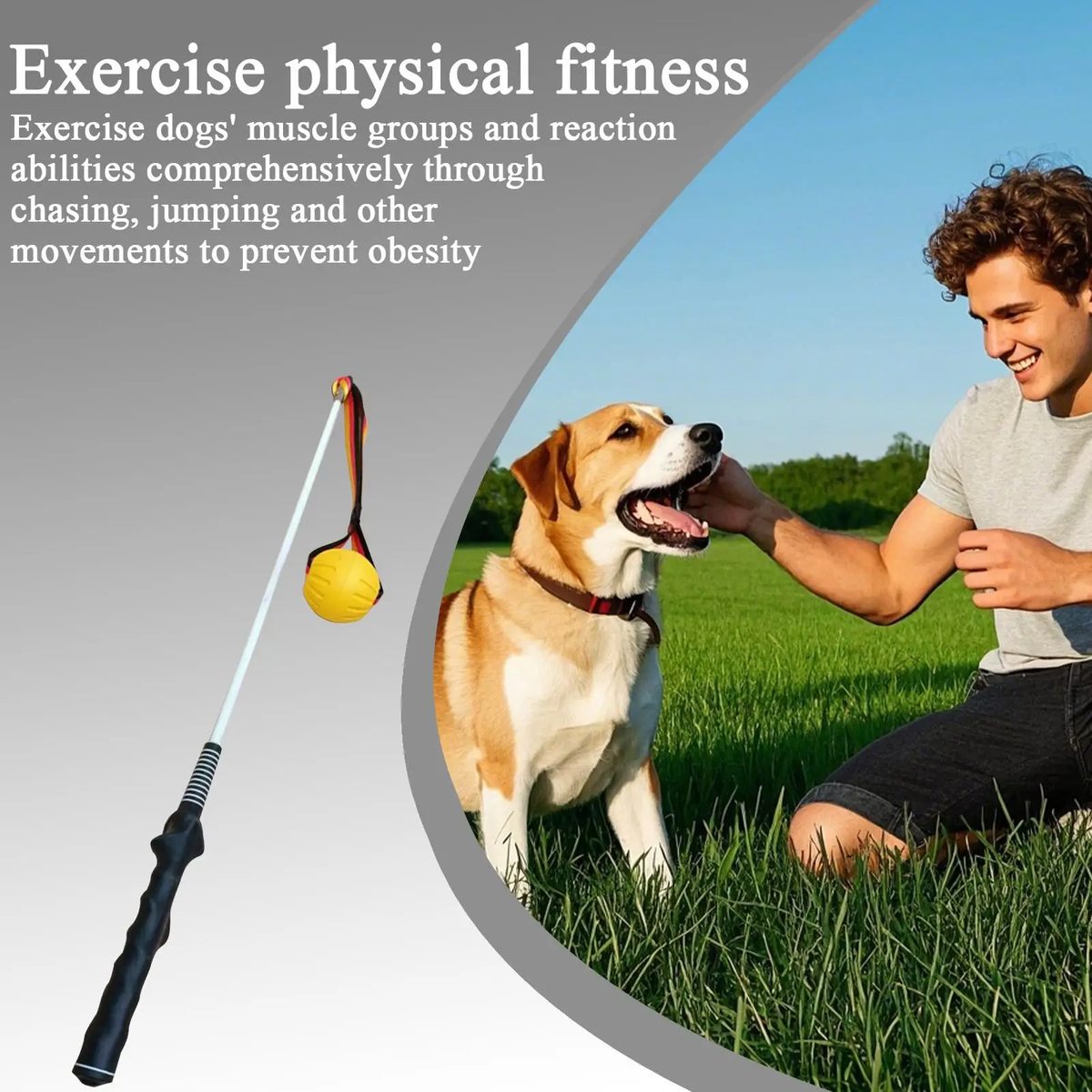 Target Stick - image 2