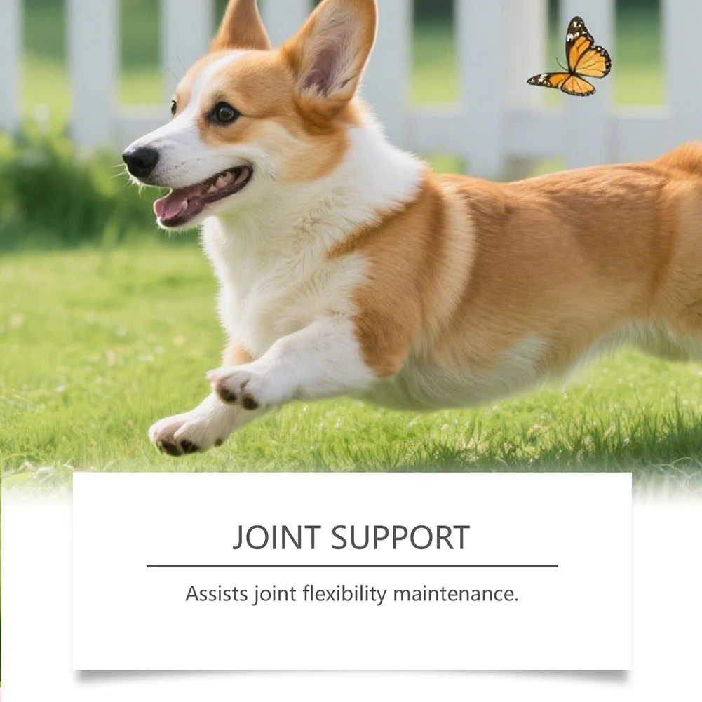 Turmeric Joint Supplement - image 2