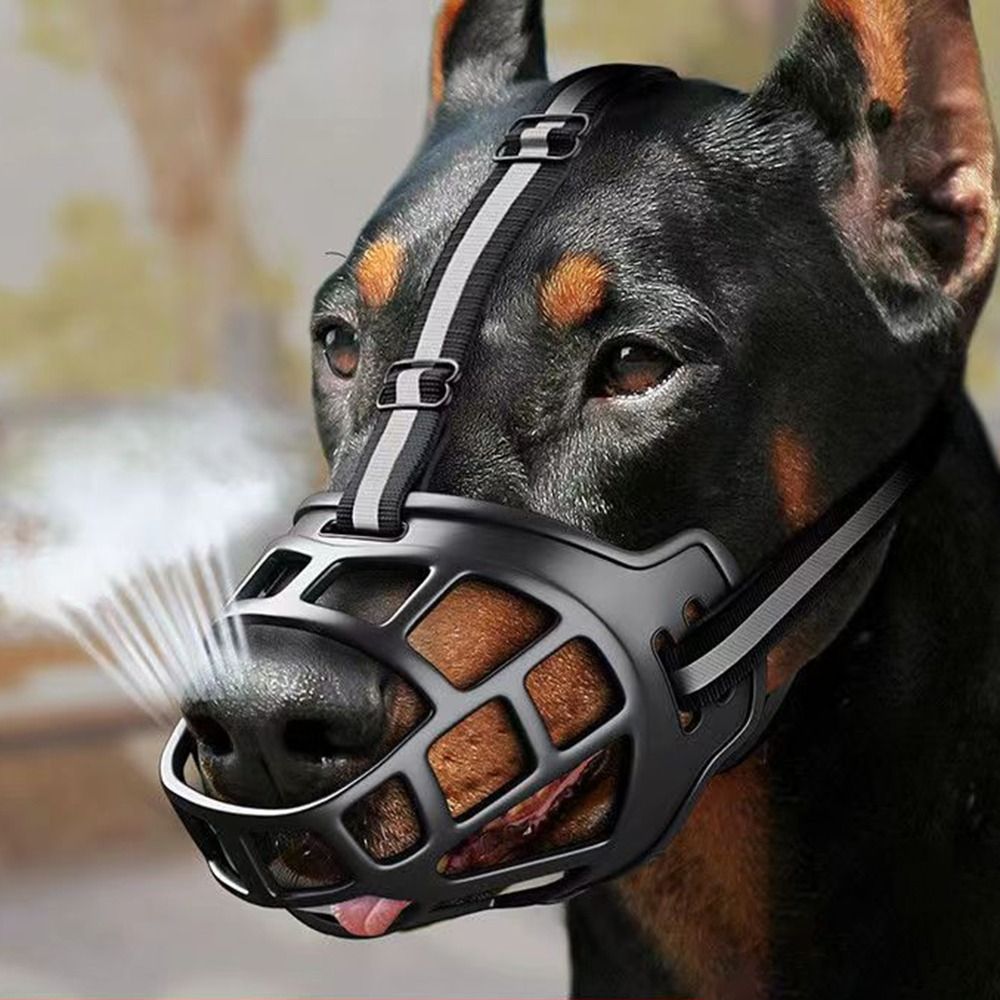 Muzzle Intro Kit - image 1