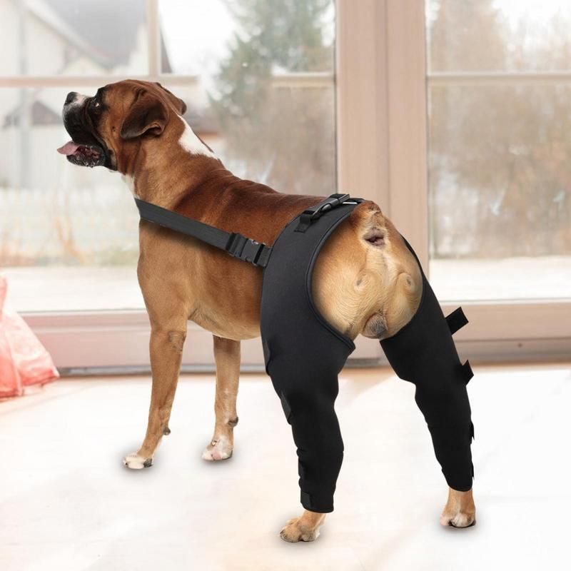 Adjustable Dog Rear Leg Brace  -  Injury & Recovery Support - image 1