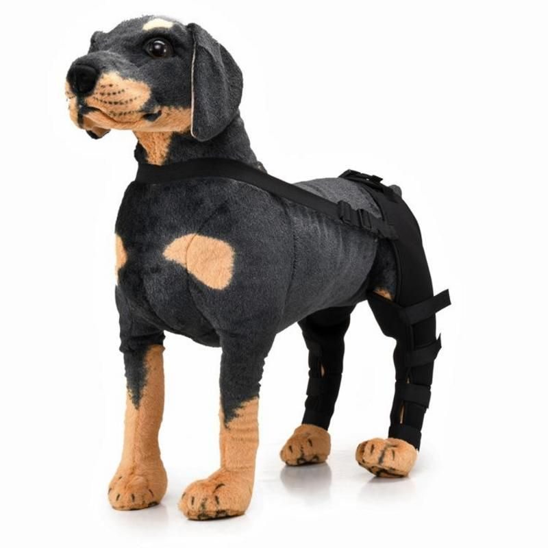 Adjustable Dog Rear Leg Brace  -  Injury & Recovery Support - image 2