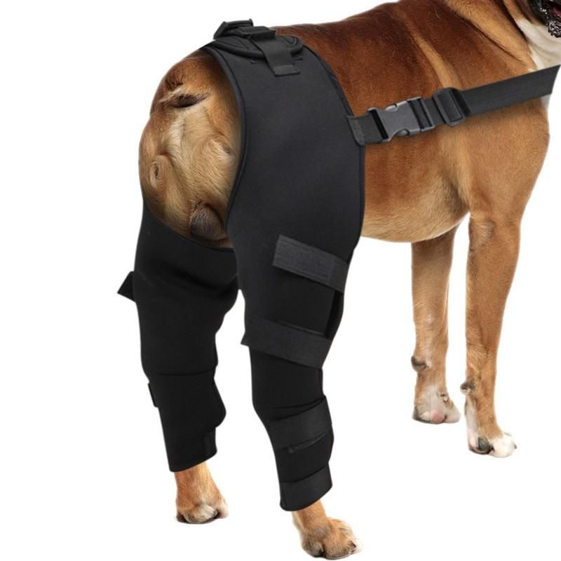 Adjustable Dog Rear Leg Brace  -  Injury & Recovery Support - image 3