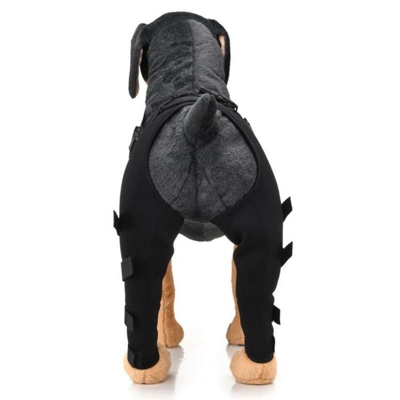 Adjustable Dog Rear Leg Brace  -  Injury & Recovery Support - image 4