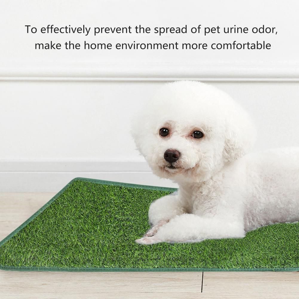 Artificial Grass Pee Mat  -  Reusable Odor-Free Training Pad - image 3