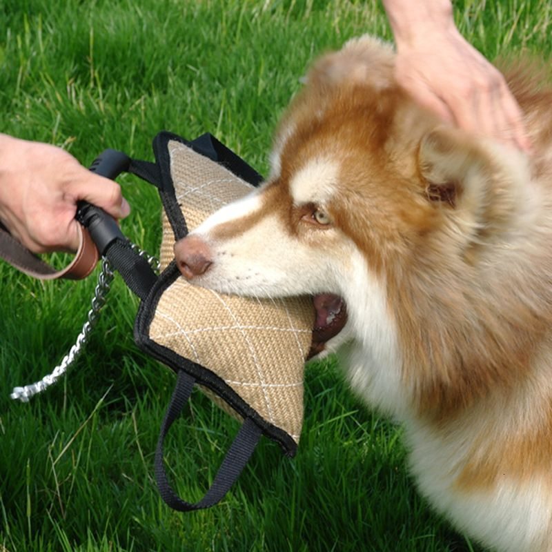 Dog Bite Tug Pillow Sleeve  -  Dual Rope Handle for GSD & Malinois - image 2