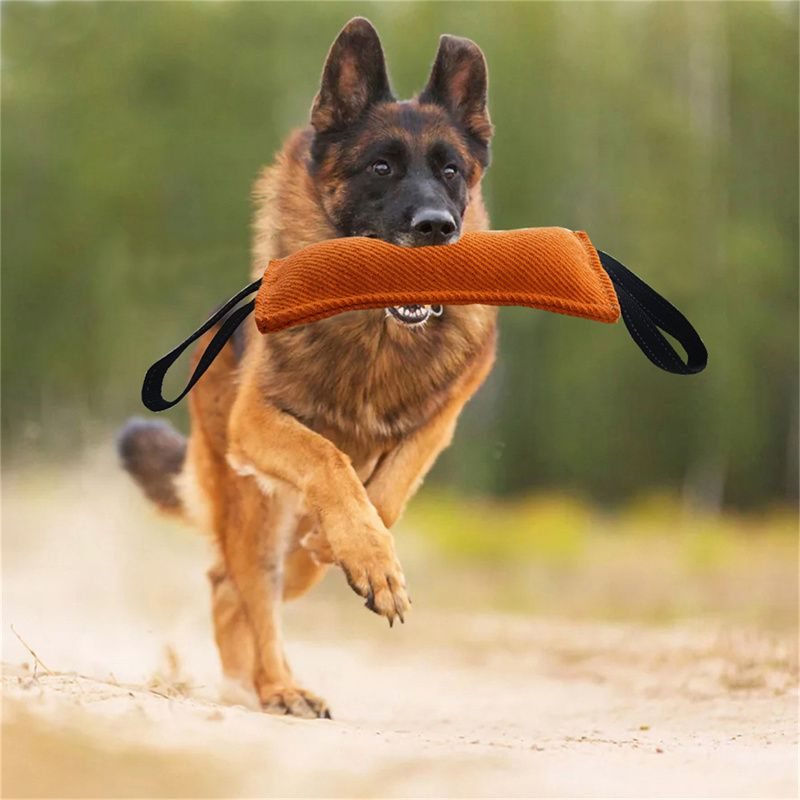 Durable Dog Bite Stick Tug Toy  -  Non-Slip Training Sleeve - image 1