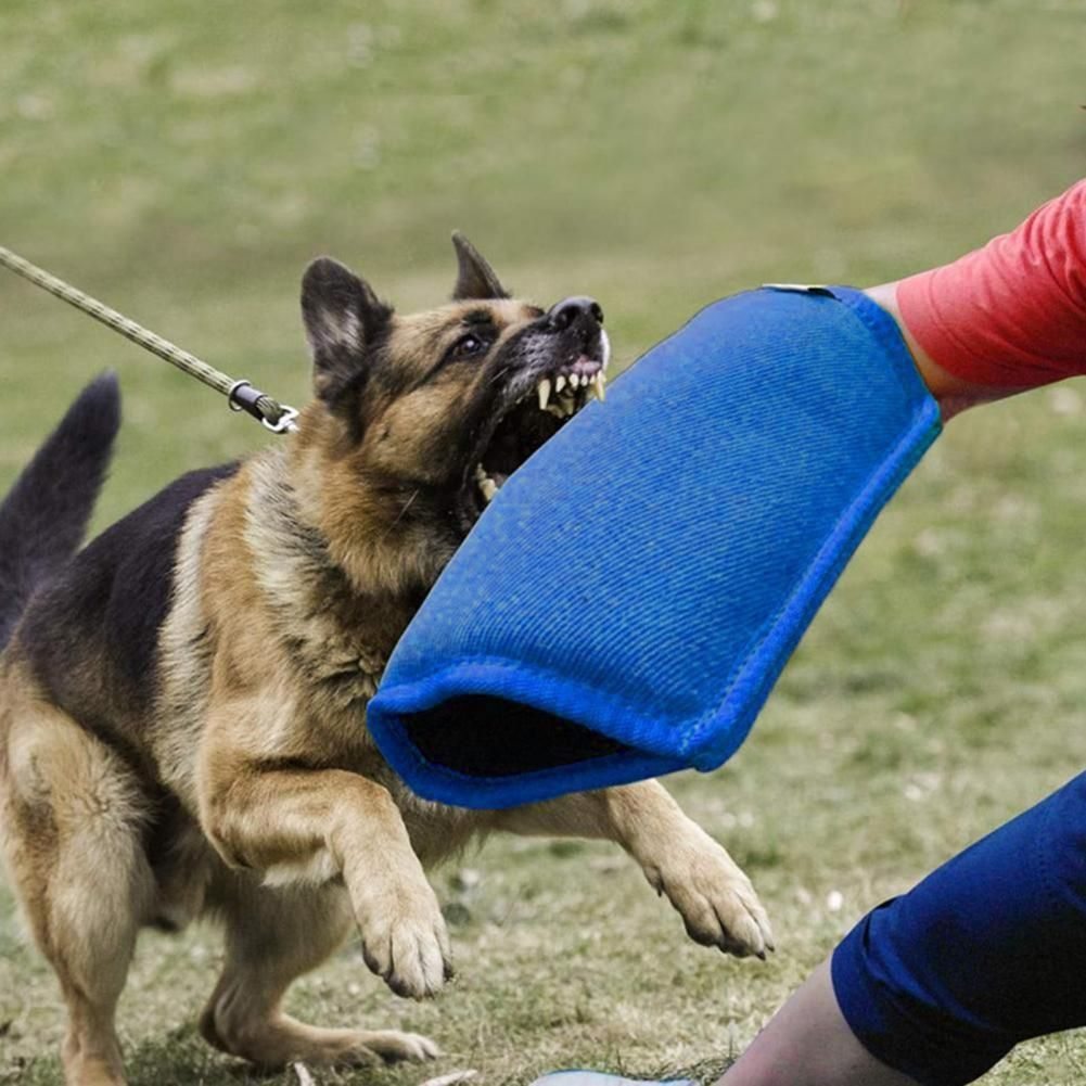 Eco Jute Dog Bite Pillow Tug Stick  -  Interactive Training - image 2