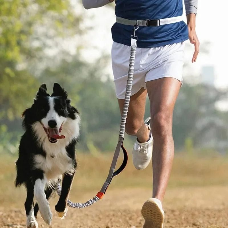 Hands-Free Dog Running Belt Leash  -  Adjustable Waist Strap - image 1