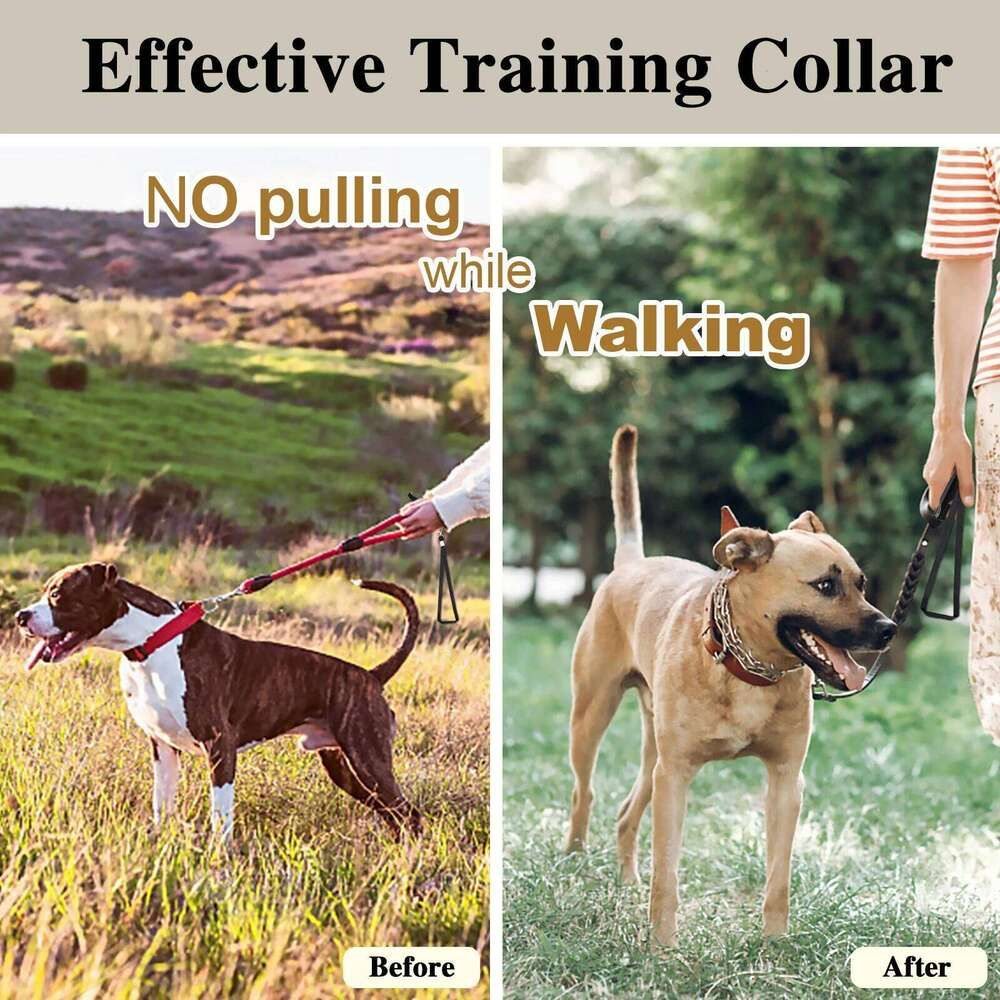 Stainless Steel Prong Collar  -  Comfort Rubber Tips - image 2